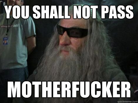 you shall not pass motherfucker  Badass Gandalf