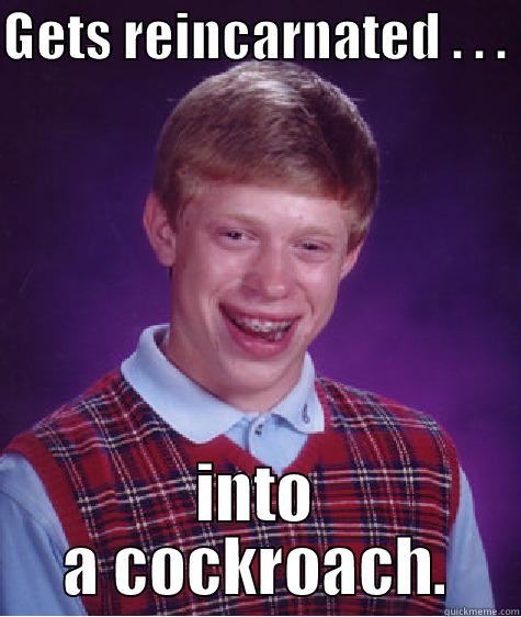 Brian Roach - GETS REINCARNATED . . .  INTO A COCKROACH. Bad Luck Brian