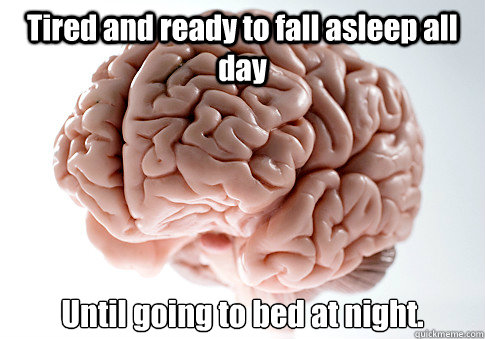 Tired and ready to fall asleep all day Until going to bed at night.   Scumbag Brain