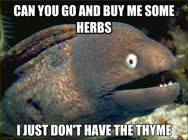 can you go and buy me some herbs I just don't have the thyme  Bad Joke Eel