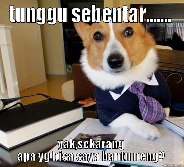 TUNGGU SEBENTAR....... YAK,SEKARANG APA YG BISA SAYA BANTU NENG? Lawyer Dog