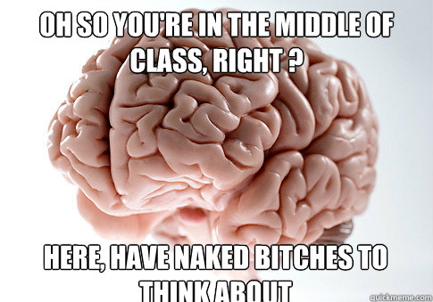 Oh so you're in the middle of class, right ? Here, have naked bitches to think about  Scumbag Brain