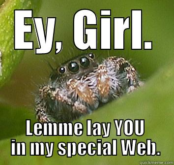 Horny Spider. - EY, GIRL. LEMME LAY YOU IN MY SPECIAL WEB. Misunderstood Spider