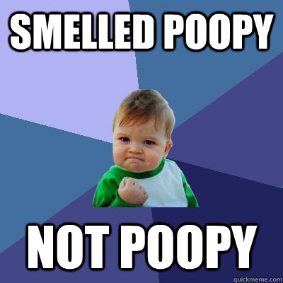 SMELLED POOPY NOT POOPY  Success Kid