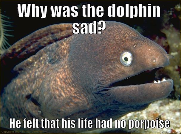 WHY WAS THE DOLPHIN SAD? HE FELT THAT HIS LIFE HAD NO PORPOISE Bad Joke Eel