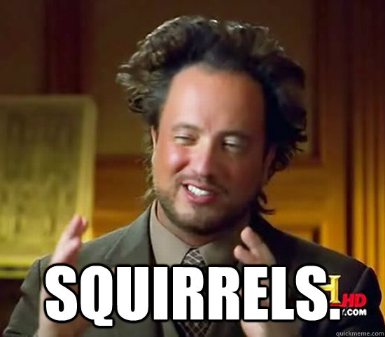  Squirrels.  Ancient Aliens