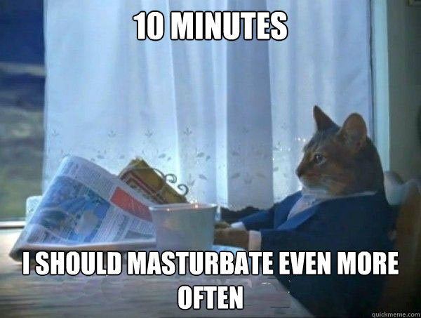 10 minutes I should masturbate even more often - 10 minutes I should masturbate even more often  morning realization newspaper cat meme