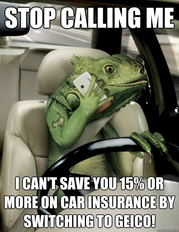 STOP CALLING ME I can't save you 15% or more on car insurance by switching to geico! - STOP CALLING ME I can't save you 15% or more on car insurance by switching to geico!  Misc