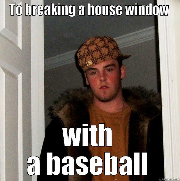 TO BREAKING A HOUSE WINDOW WITH A BASEBALL Scumbag Steve