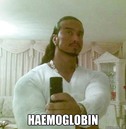  Haemoglobin  Guido Jesus