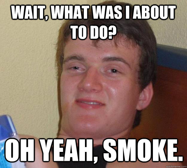 Wait, what was I about to do? Oh yeah, smoke.  10 Guy