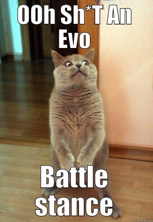 OOH SH*T AN EVO BATTLE STANCE Horrorcat