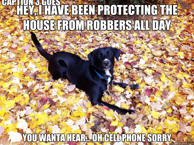 Hey, I have been protecting the house from robbers all day You wanta hear... oh cell phone sorry Caption 3 goes here - Hey, I have been protecting the house from robbers all day You wanta hear... oh cell phone sorry Caption 3 goes here  Guilt Giving Good Dog