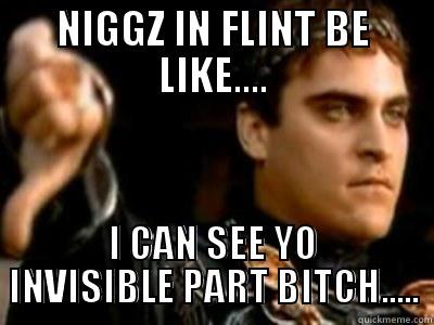 NIGGZ IN FLINT BE LIKE.... I CAN SEE YO INVISIBLE PART BITCH..... Downvoting Roman