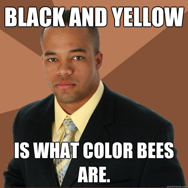 Black and Yellow is what color bees are.  Successful Black Man