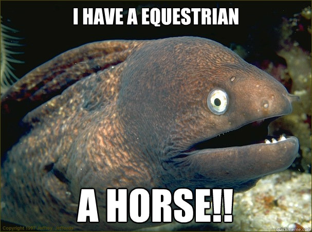 I have a equestrian A HORSE!!  Bad Joke Eel