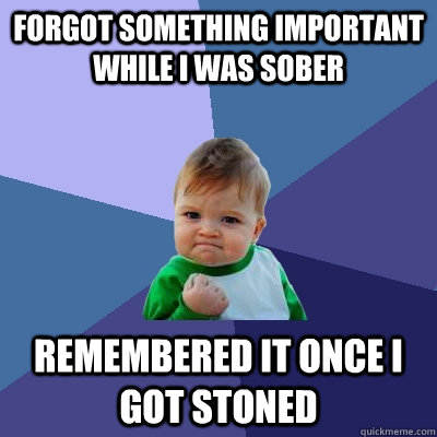 Forgot something important while I was sober remembered it once I got stoned - Forgot something important while I was sober remembered it once I got stoned  Success Kid