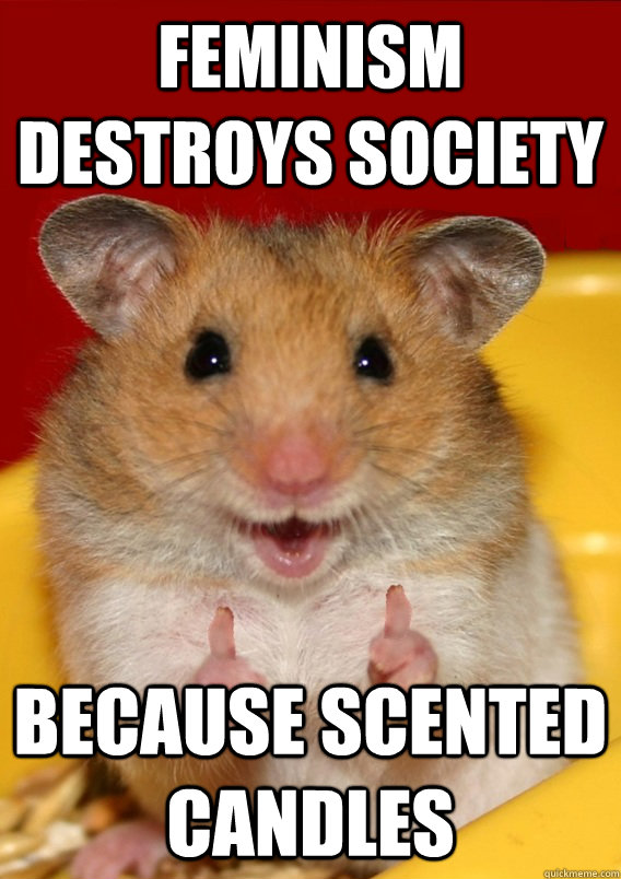 feminism destroys society  because scented candles  - feminism destroys society  because scented candles   Rationalization Hamster