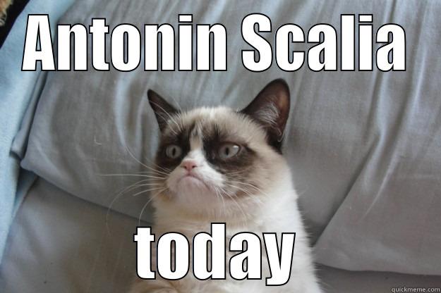 ANTONIN SCALIA TODAY Grumpy Cat