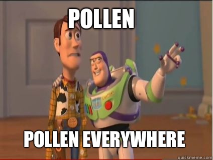 POLLEN POLLEN EVERYWHERE  woody and buzz