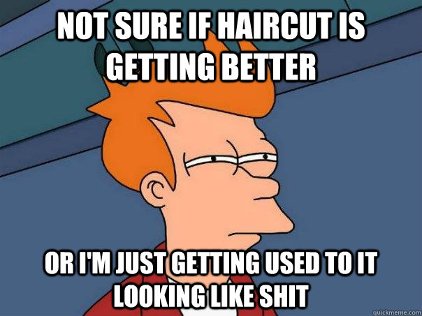 Not sure if haircut is getting better Or I'm just getting used to it looking like shit  Futurama Fry