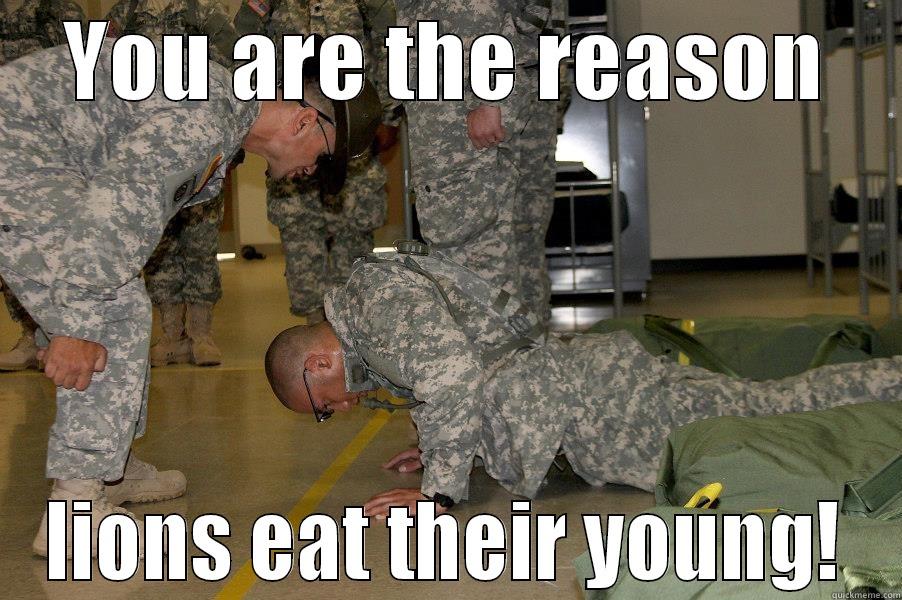 YOU ARE THE REASON LIONS EAT THEIR YOUNG! Misc