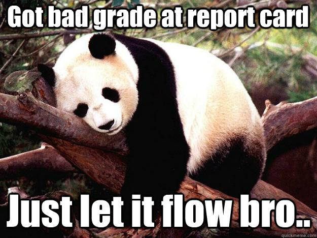 Got bad grade at report card Just let it flow bro..  Procrastination Panda