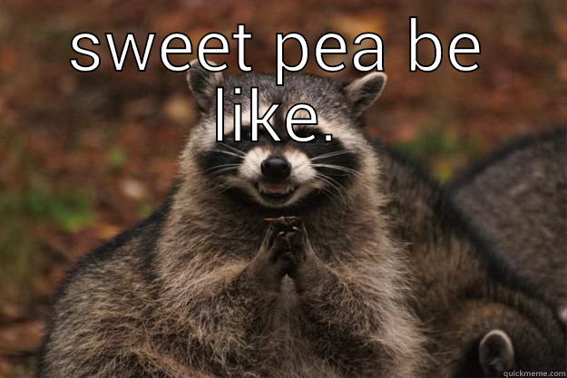 SWEET PEA BE LIKE.  Evil Plotting Raccoon