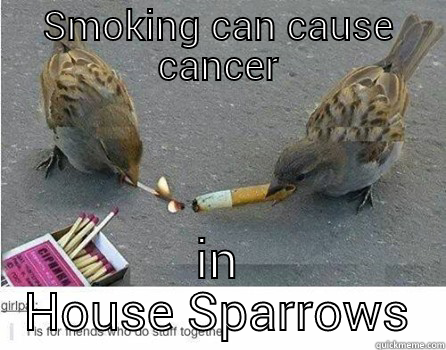 Cancer Warning: - SMOKING CAN CAUSE CANCER IN HOUSE SPARROWS Misc