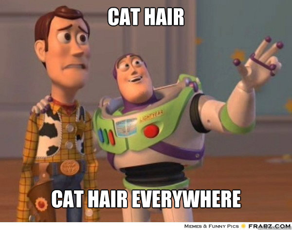 cat hair cat hair everywhere  Buzzlightyear