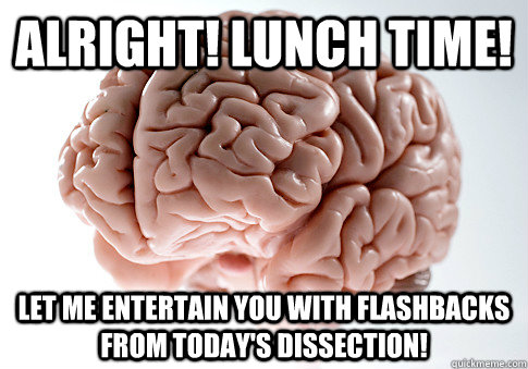 Alright! Lunch time! Let me entertain you with flashbacks from today's dissection! - Alright! Lunch time! Let me entertain you with flashbacks from today's dissection!  Scumbag Brain