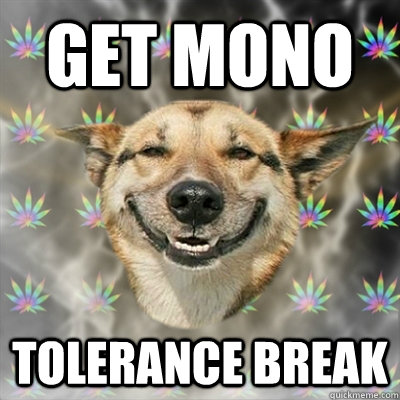 Get mono Tolerance break  Stoner Dog