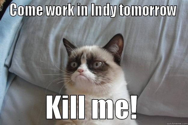 COME WORK IN INDY TOMORROW KILL ME! Grumpy Cat