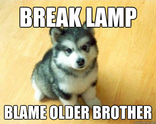 Break lamp blame older brother  