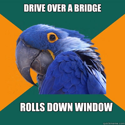 Drive over a bridge rolls down window  Paranoid Parrot