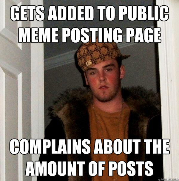 gets added to public meme posting page complains about the amount of posts - gets added to public meme posting page complains about the amount of posts  Scumbag Steve