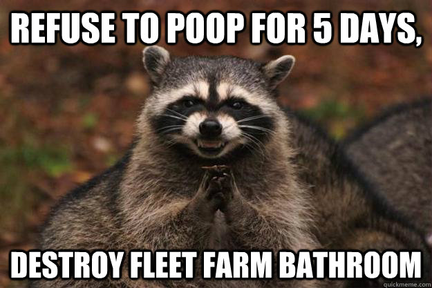 Refuse to poop for 5 days, destroy fleet farm bathroom  Evil Plotting Raccoon