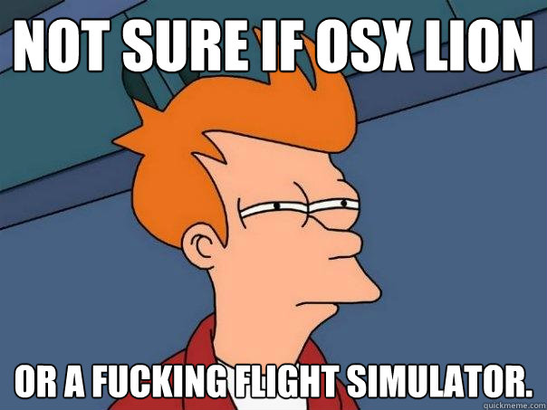 Not sure if OSX Lion Or a fucking flight simulator.  Futurama Fry