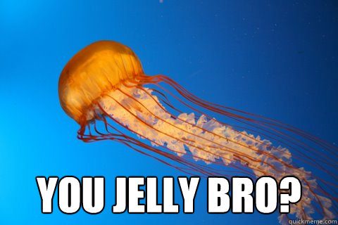 You Jelly Bro? - You Jelly Bro?  Jealous Jellyfish