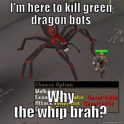 I'M HERE TO KILL GREEN DRAGON BOTS WHY THE WHIP BRAH? Misc