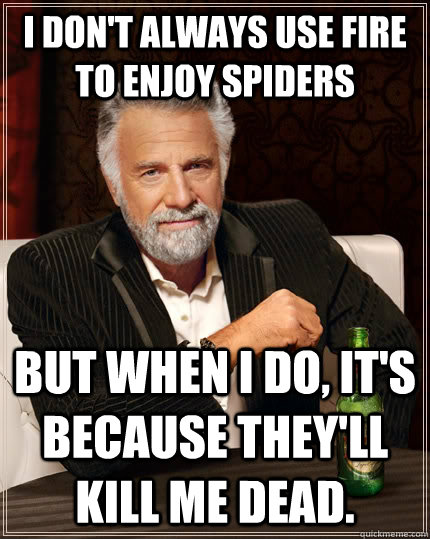 I don't always use fire to enjoy spiders but when i do, it's because they'll kill me dead.   The Most Interesting Man In The World