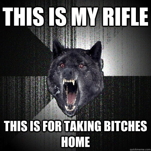 THIS IS MY RIFLE THIS IS FOR TAKING BITCHES HOME  Insanity Wolf