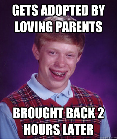 gets adopted by loving parents brought back 2 hours later Caption 3 goes here - gets adopted by loving parents brought back 2 hours later Caption 3 goes here  Bad Luck Brian