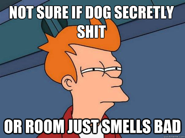 Not sure if dog secretly shit  or room just smells bad  Futurama Fry