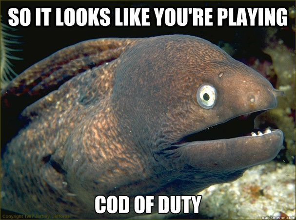 so it looks like you're playing Cod of duty  Bad Joke Eel