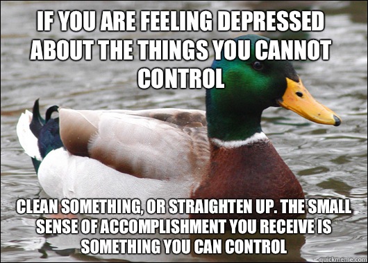 If you are feeling depressed about the things you cannot control Clean something, or straighten up. The small sense of accomplishment you receive is something you can control  Actual Advice Mallard