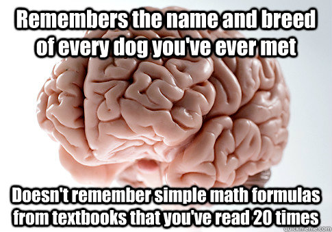 Remembers the name and breed of every dog you've ever met Doesn't remember simple math formulas from textbooks that you've read 20 times   Scumbag Brain