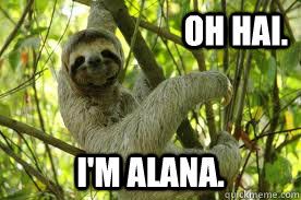 Oh hai. I'm Alana.  alana sloth