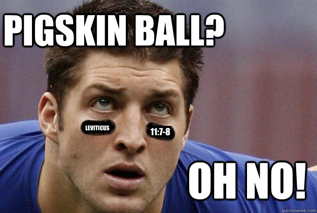 Pigskin Ball? Leviticus 11:7-8 OH NO!  