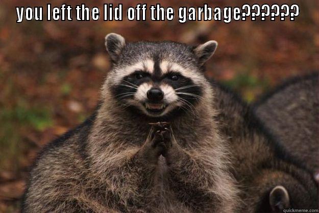 YOU LEFT THE LID OFF THE GARBAGE??????  Evil Plotting Raccoon